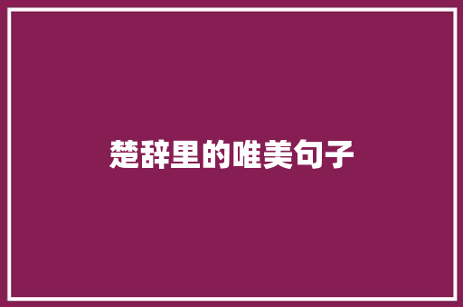 楚辞里的唯美句子