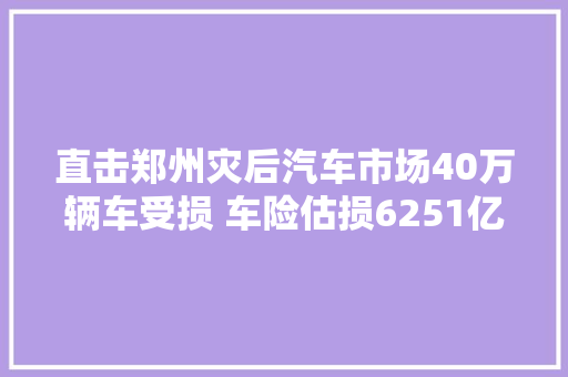 直击郑州灾后汽车市场40万辆车受损 车险估损6251亿大年夜量泡水车或流向全国