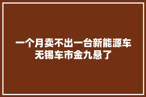 一个月卖不出一台新能源车无锡车市金九悬了