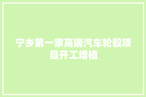 宁乡第一家高端汽车轮毂项目开工培植