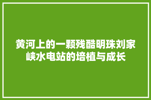黄河上的一颗残酷明珠刘家峡水电站的培植与成长