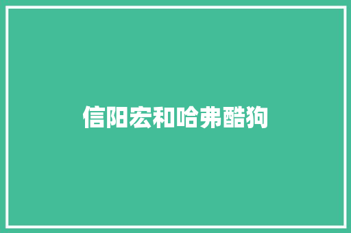 信阳宏和哈弗酷狗