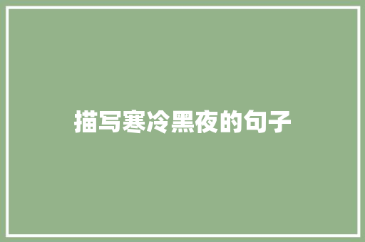 描写寒冷黑夜的句子