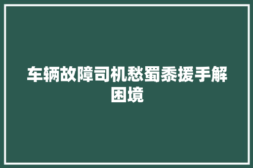 车辆故障司机愁蜀黍援手解困境