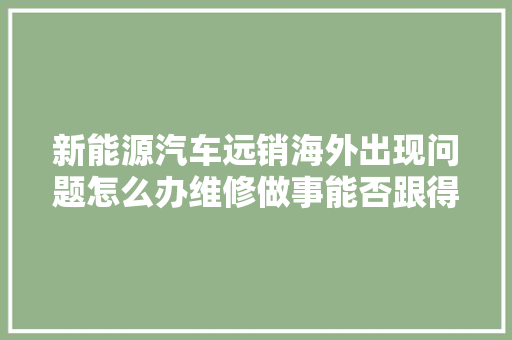 新能源汽车远销海外出现问题怎么办维修做事能否跟得上