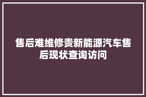 售后难维修贵新能源汽车售后现状查询访问