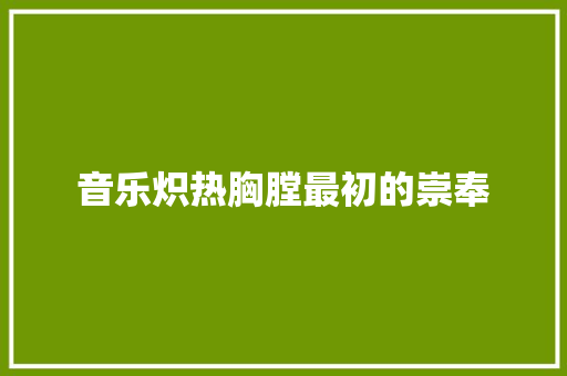 音乐炽热胸膛最初的崇奉