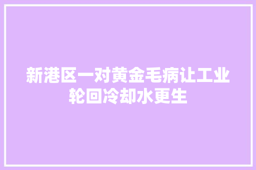 新港区一对黄金毛病让工业轮回冷却水更生
