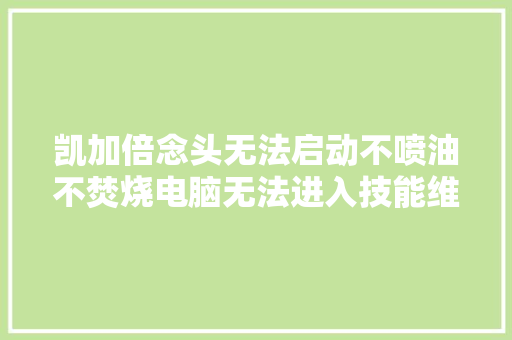 凯加倍念头无法启动不喷油不焚烧电脑无法进入技能维修篇