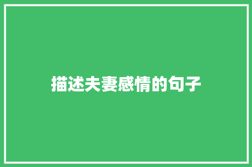 描述夫妻感情的句子