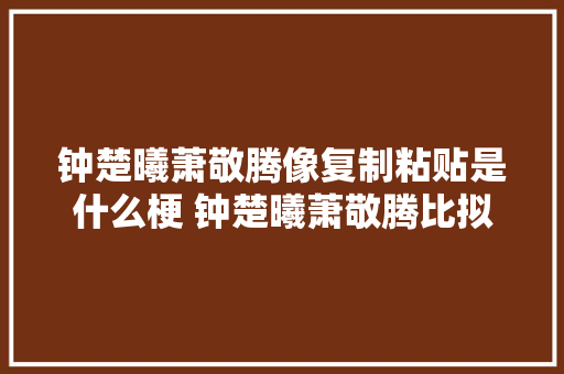 钟楚曦萧敬腾像复制粘贴是什么梗 钟楚曦萧敬腾比拟照
