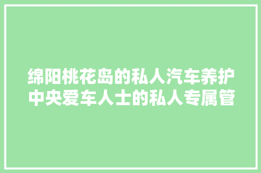 绵阳桃花岛的私人汽车养护中央爱车人士的私人专属管家