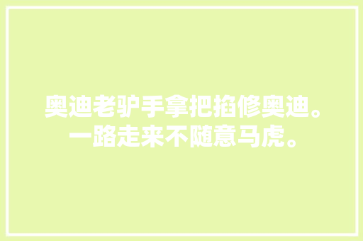 奥迪老驴手拿把掐修奥迪。一路走来不随意马虎。