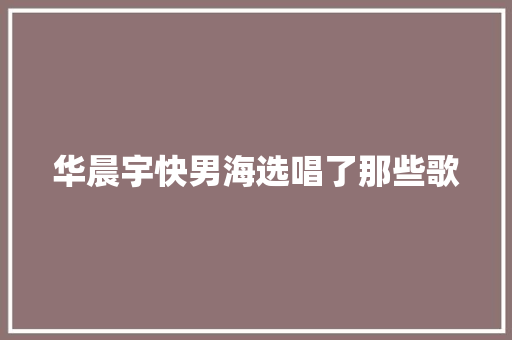 华晨宇快男海选唱了那些歌