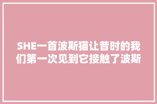 SHE一首波斯猫让昔时的我们第一次见到它接触了波斯猫