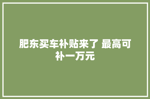 肥东买车补贴来了 最高可补一万元