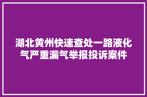 湖北黄州快速查处一路液化气严重漏气举报投诉案件 汽车知识
