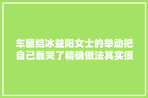 车窗结冰益阳女士的举动把自己蠢哭了精确做法其实很简单