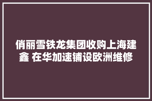 俏丽雪铁龙集团收购上海建鑫 在华加速铺设欧洲维修收集