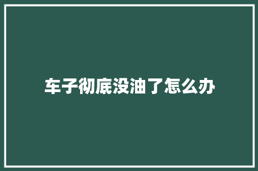 车子彻底没油了怎么办