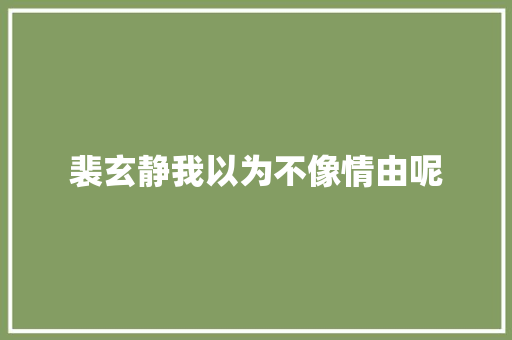 裴玄静我以为不像情由呢