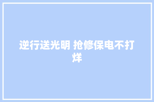 逆行送光明 抢修保电不打烊