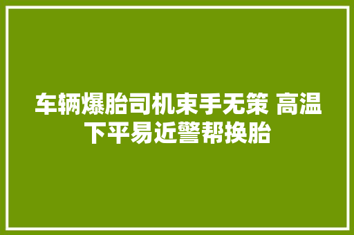 车辆爆胎司机束手无策 高温下平易近警帮换胎