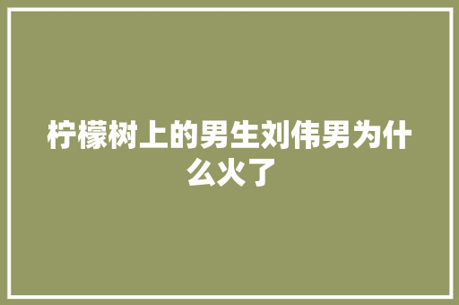 柠檬树上的男生刘伟男为什么火了