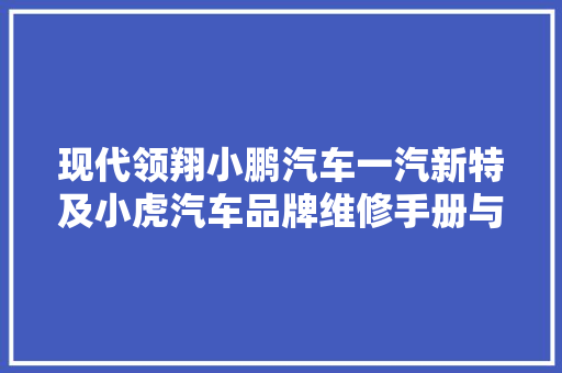 现代领翔小鹏汽车一汽新特及小虎汽车品牌维修手册与电路图册