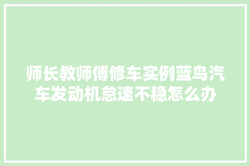 师长教师傅修车实例蓝鸟汽车发动机怠速不稳怎么办