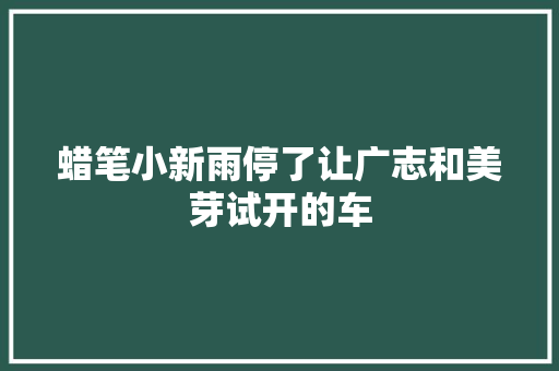 蜡笔小新雨停了让广志和美芽试开的车