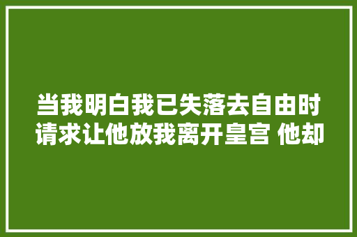 当我明白我已失落去自由时请求让他放我离开皇宫 他却一脚将我踢开