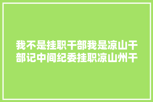 我不是挂职干部我是凉山干部记中间纪委挂职凉山州干部裴启斌