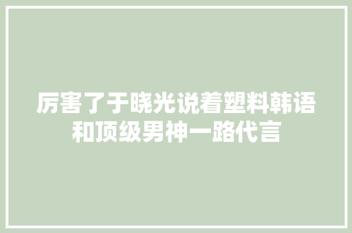 厉害了于晓光说着塑料韩语和顶级男神一路代言