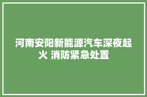 河南安阳新能源汽车深夜起火 消防紧急处置 汽车知识