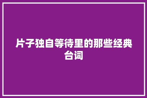 片子独自等待里的那些经典台词