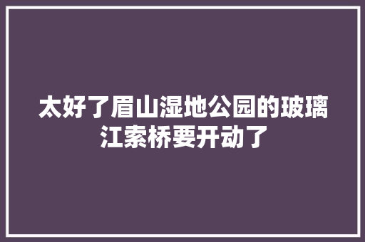 太好了眉山湿地公园的玻璃江索桥要开动了