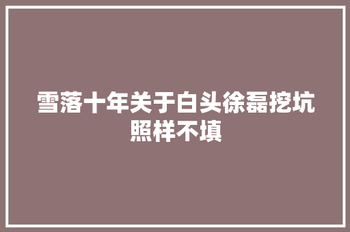 雪落十年关于白头徐磊挖坑照样不填