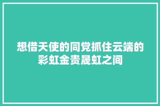 想借天使的同党抓住云端的彩虹金贵晟虹之间