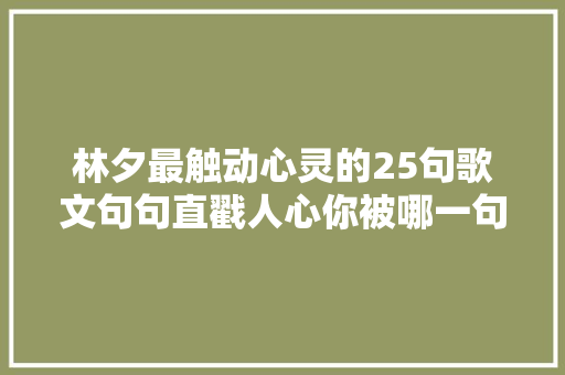 林夕最触动心灵的25句歌文句句直戳人心你被哪一句打动了