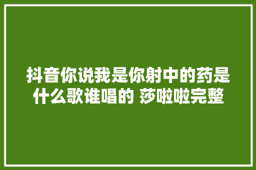 抖音你说我是你射中的药是什么歌谁唱的 莎啦啦完整歌词