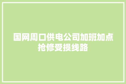 国网周口供电公司加班加点抢修受损线路