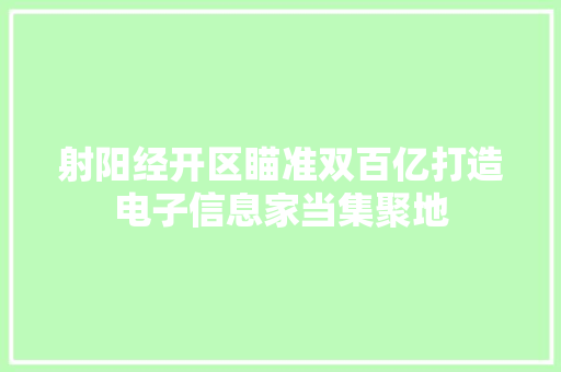 射阳经开区瞄准双百亿打造电子信息家当集聚地