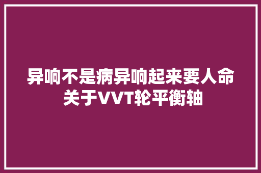 异响不是病异响起来要人命 关于VVT轮平衡轴