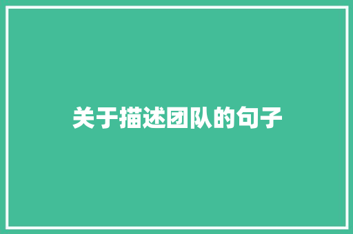 关于描述团队的句子