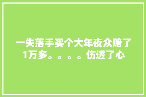 一失落手买个大年夜众赔了1万多。。。。伤透了心