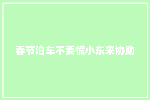 春节泊车不要慌小东来协助