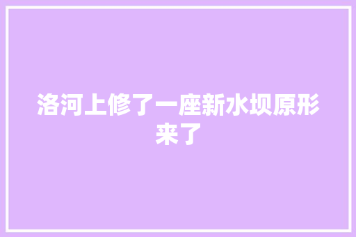洛河上修了一座新水坝原形来了