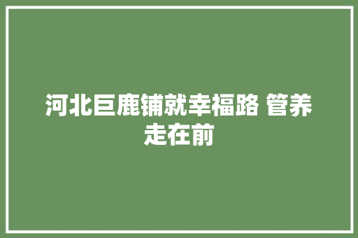 河北巨鹿铺就幸福路 管养走在前