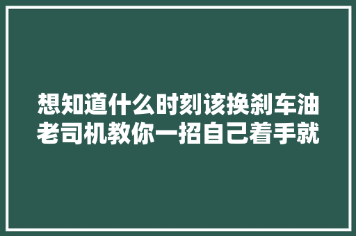 想知道什么时刻该换刹车油老司机教你一招自己着手就可以检测